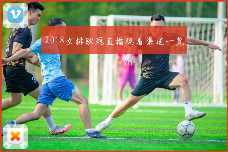 2018女排欧冠直播观看渠道一览