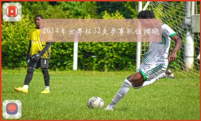 2014年世界杯32支参赛队伍揭晓