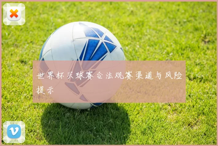 世界杯买球赛合法观赛渠道与风险提示