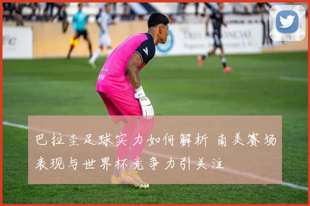 巴拉圭足球实力如何解析 南美赛场表现与世界杯竞争力引关注