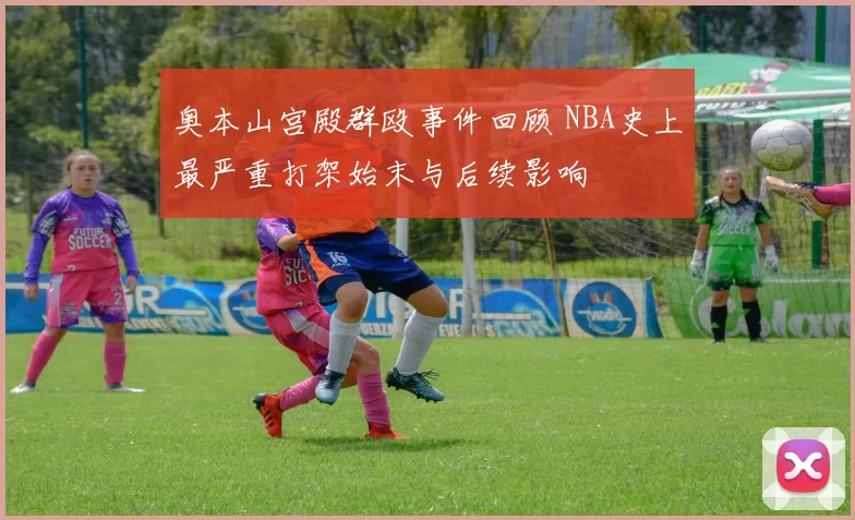 奥本山宫殿群殴事件回顾 NBA史上最严重打架始末与后续影响